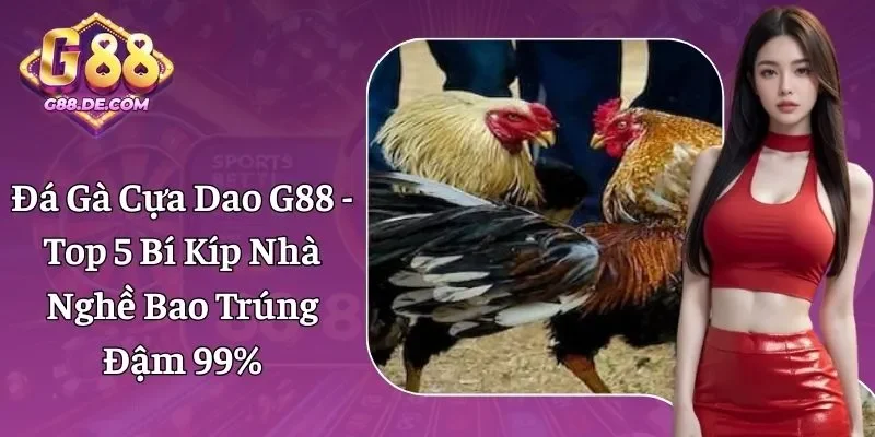 Đá Gà Cựa Dao G88 - Nắm Rõ Quy Tắc, Cá Cược Chắc Thắng